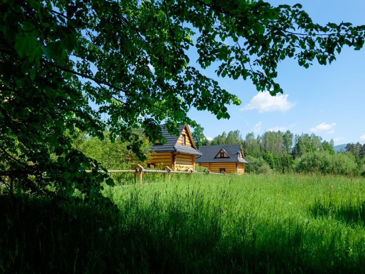 Domki,,Chatki Goralskie " Rabka Exterior foto