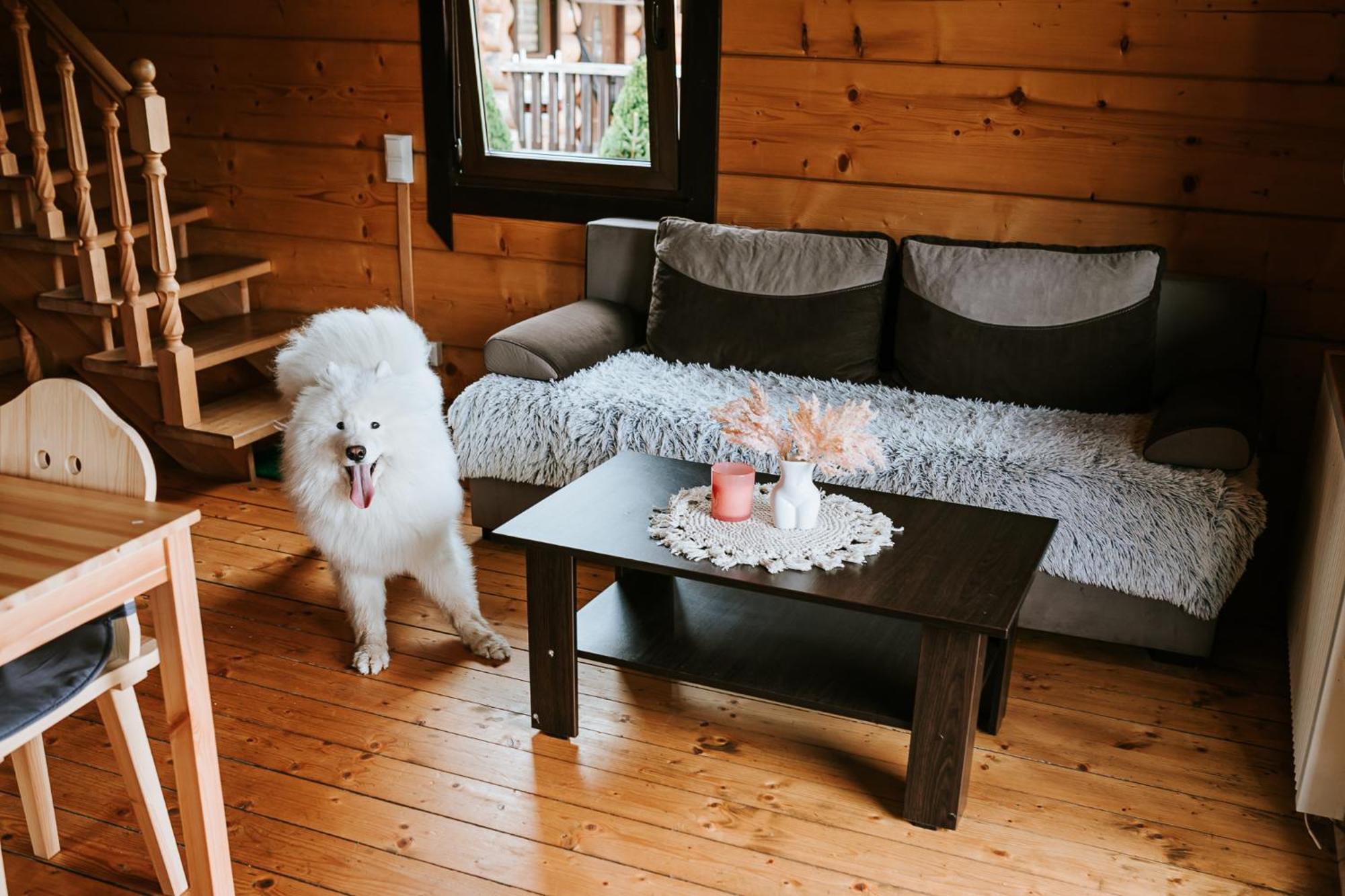 Domki,,Chatki Goralskie " Rabka Exterior foto